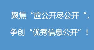 正文适合核对表述