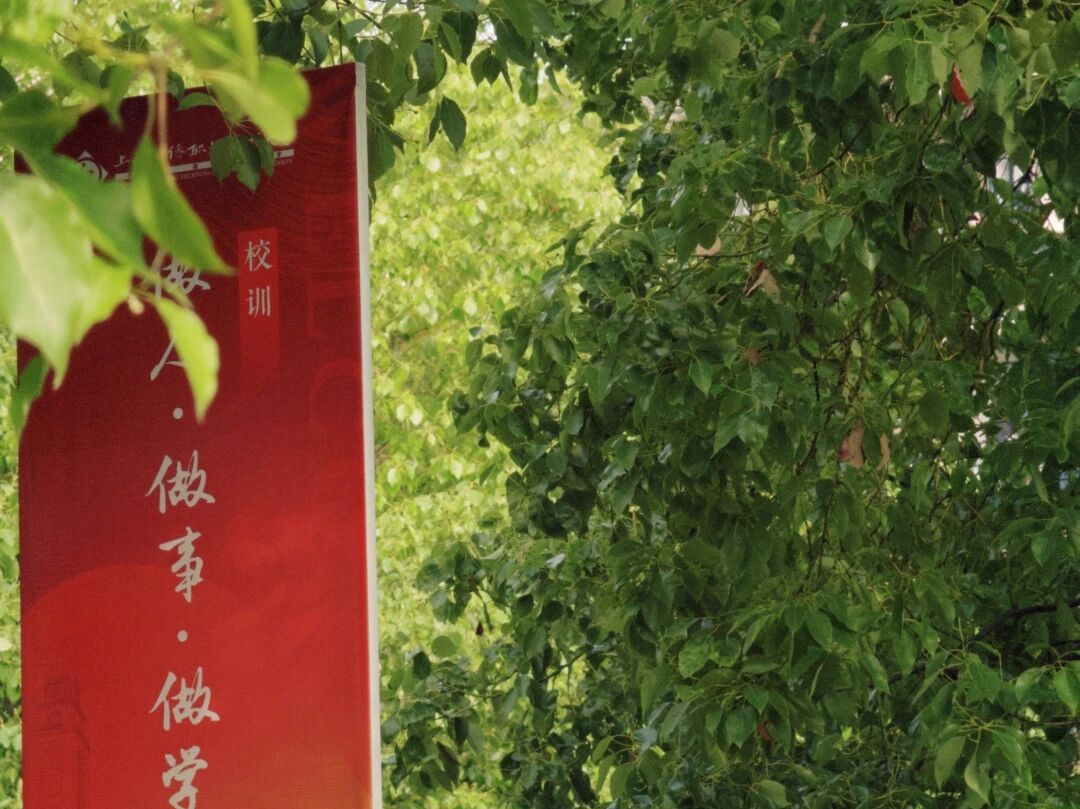 继续浏览